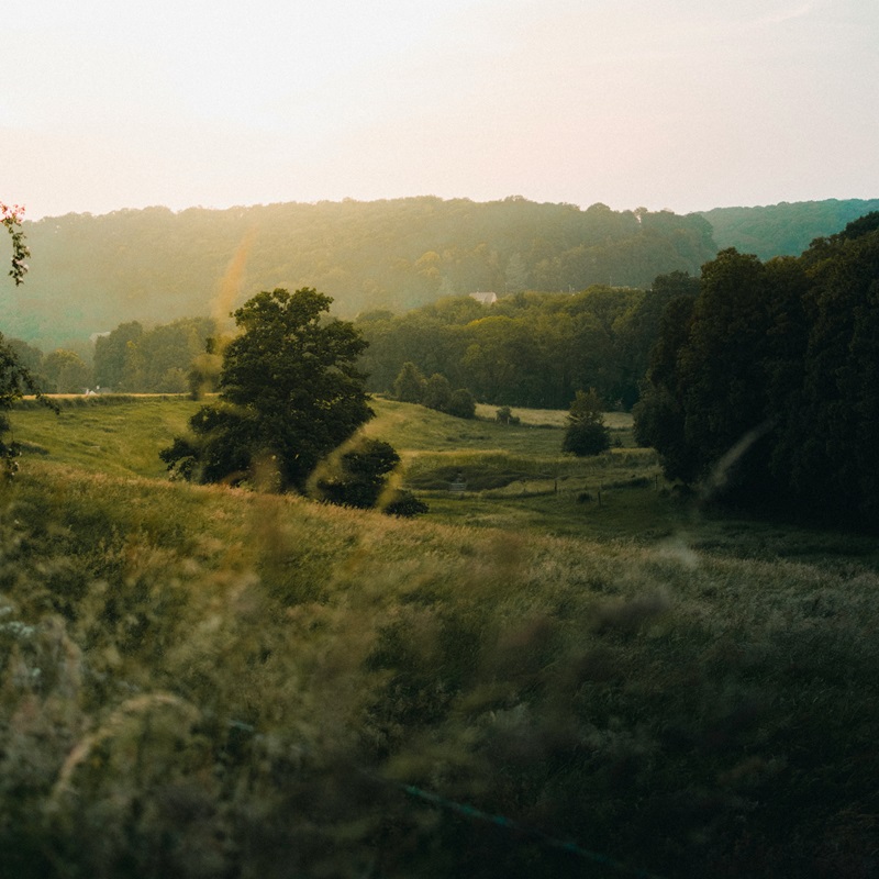 Environmental Impact Assessment looks at environmental risk. A countryside image.