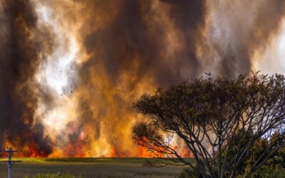 Your Business Insurance Fire Risk Check