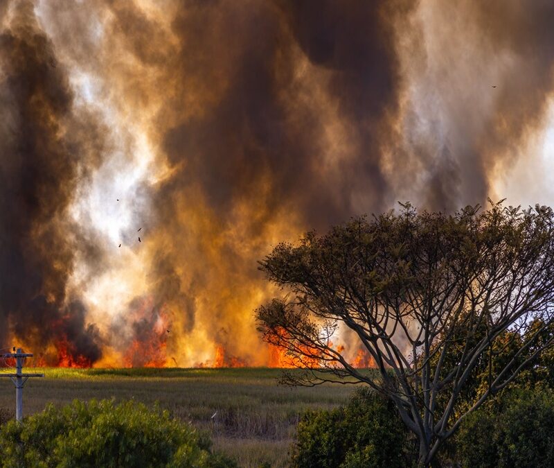 Your Business Insurance Fire Risk Check