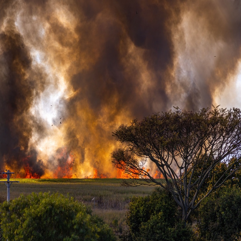 A grassland fire during the summer in the UK, devastating farmland and the surrounding countryside.